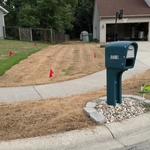 Left side of yard