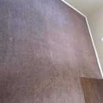 Apartment Carpet