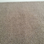 Carpet Stain