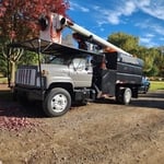 Tree removal
