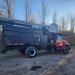 Tree removal