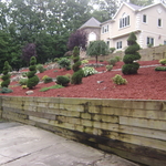 Landscaping Design