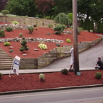 Landscaping Design