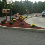 Landscaping Design