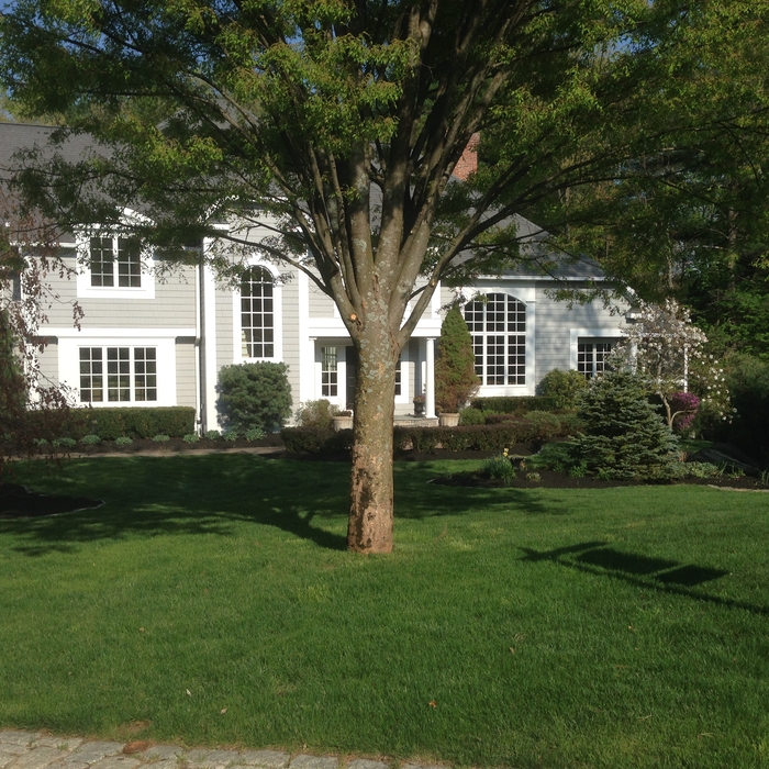 Property Maintenance