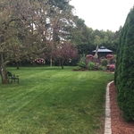 Property Maintenance