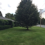 Property Maintenance