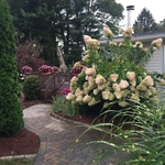 Property Maintenance