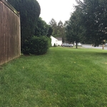 Property Maintenance