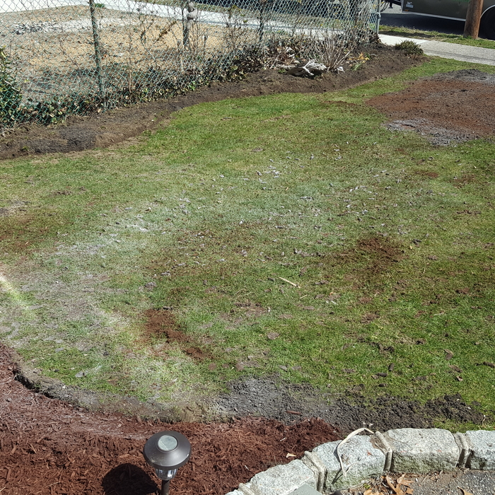 Spring Clean up