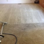 Dirty Carpet 1