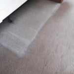 Dirty Carpet