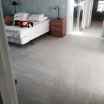Clean Carpet