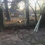 Wind damage