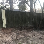 Wind damage