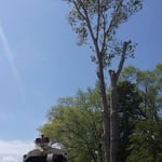 Removal in Progress