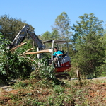land clearing