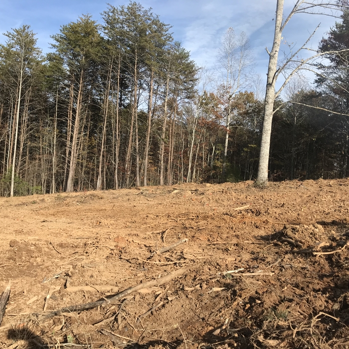 This is after we cleared customers horse pasture