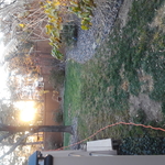 Yard finished
