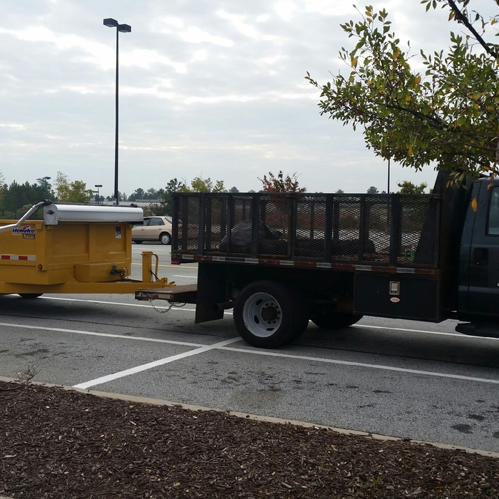 Tree Removal