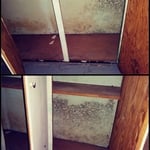Typical Inspection