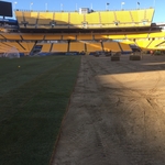 Heinz Field Sod Install