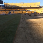 Heinz Field Sod Install