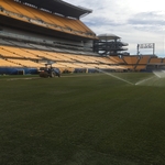 Heinz Field Sod Install