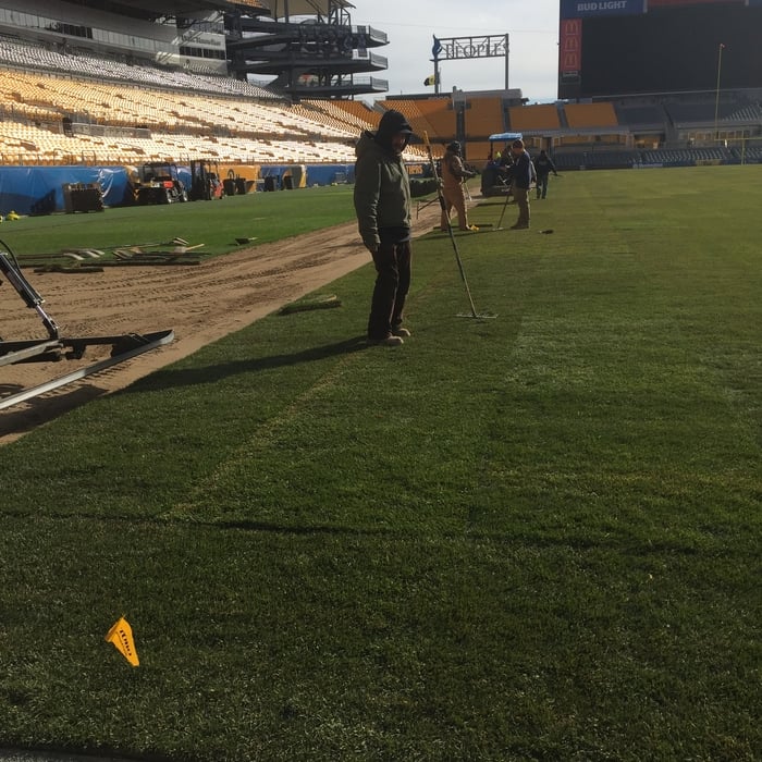 Heinz Field Sod Install