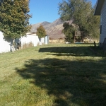 After photo of lawn mowing