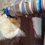☎ (801) 554-8151