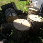 Large Trunk
