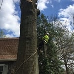 Climbing