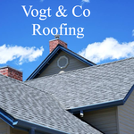 Professionally Installed Roofs