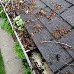 Gutter cleaning