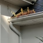 Gutter cleaning