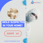 Mold Testing