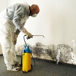 Water & Mold Clenaup