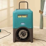 Water & Mold Clenaup