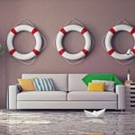 Water & Mold Clenaup