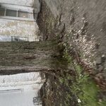 Highland Park Removal
