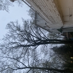 Highland Park Removal
