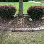 Concrete Curbing