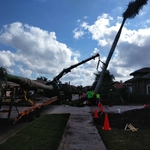Before Planting Large Royal Palms