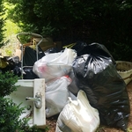 Trash pick up /Construction