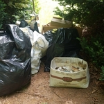 Trash pick up /Construction