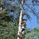 Why climb?