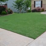 Front Lawn