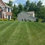 Front Lawn