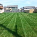 Back Lawn